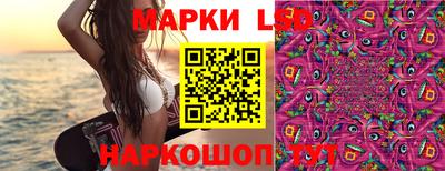 хмурый Новозыбков