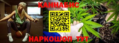 хмурый Новозыбков
