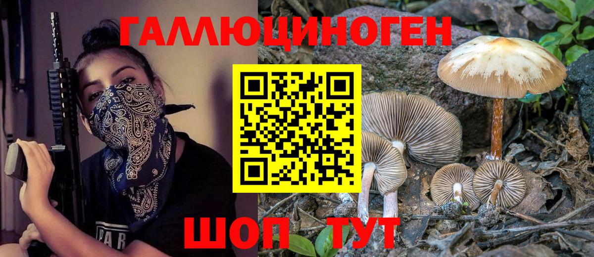 Псилоцибиновые грибы Psilocybe Семилуки