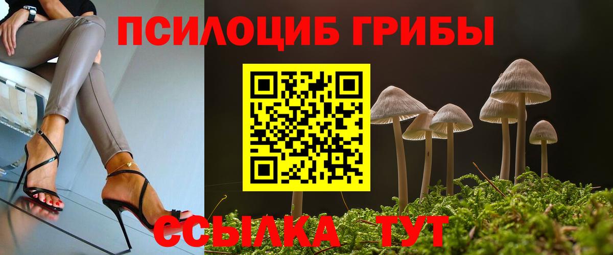 Семилуки  Псилоцибиновые грибы Cubensis  как найти закладки  Вход с VPN 